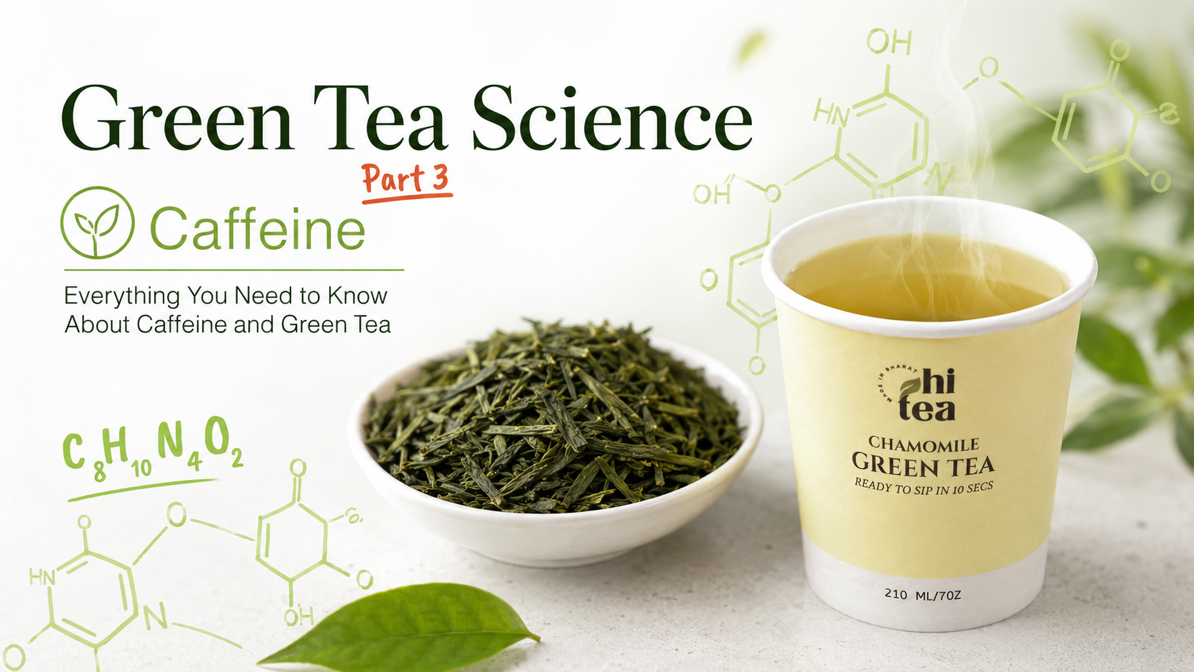 
          Green Tea Caffeine: How Much, Best Timing & Who Should Limit It
        