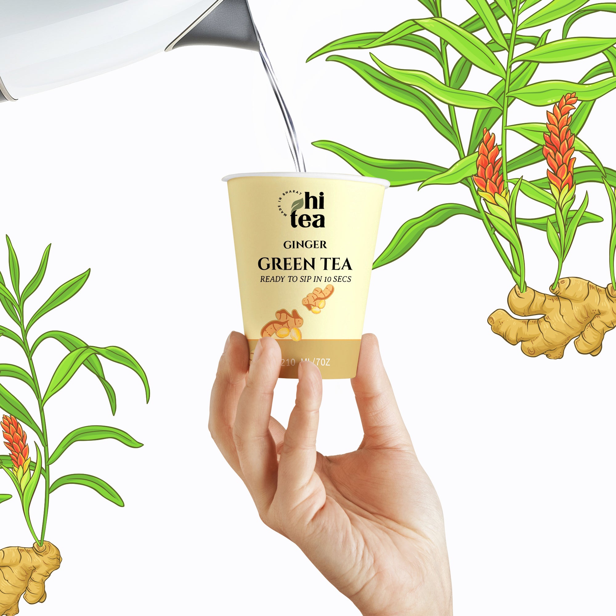 Ginger Green Tea | 8 Instant Cups – Just Add Hot Water